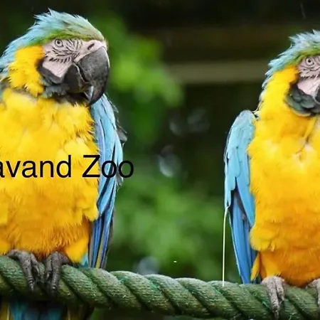 Mindedalen - Idyl Taet Pa Alt Og Helt I Fred Appartamento Billum