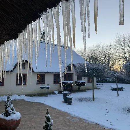 Apartmán Mindedalen - Idyl Taet Pa Alt Og Helt I Fred Billum