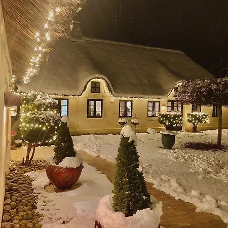 Apartment Mindedalen - Idyl Taet Pa Alt Og Helt I Fred